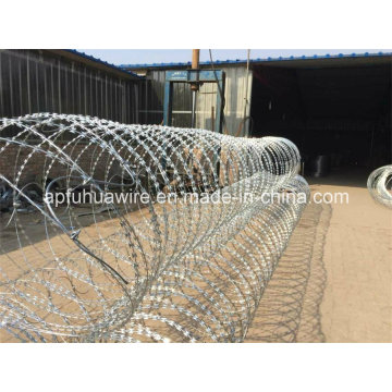 Hot Sale Galvanized Razor Barbed Wire Pratique